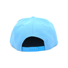 950 Detroit Lions 60