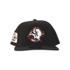 Buffalo Sabres Curved 20th