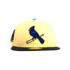 5950 STLCARCO - SOFTYELLDKGRAPHPINKRAD