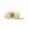 950 Detroit Tigers