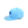 950 Detroit Lions 60