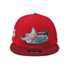 Tampa Bay Devil Rays