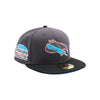 Tampa Bay Rays